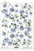 goździki, powojnik, R099, flower, flowers, meadow, garden, cloves, clematis,  flores, clavos y clemátides, rosa, jardín, prado, clavel, claveles, clemátide, Rosen, Garten, Wiese, Blume, Nelken, Clematis 